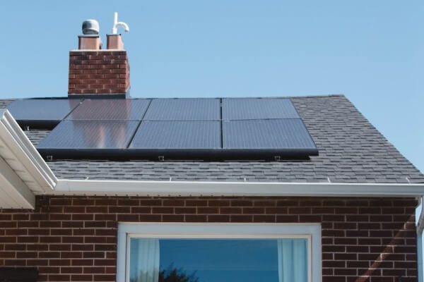 PEST CONTROL BEDFORD, Bedfordshire. Services: Solar Panel Bird Proofing. Keep Your Solar Panels Safe from Bird Damage with Local Pest Control Ltd's Tailored Bird Proofing Services in Bedford
